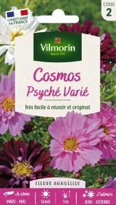 Cosmos Psychée